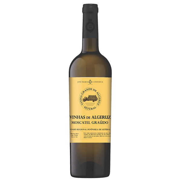 Vinhas Algeruz Moscatel Graúdo 2025 hvidvin